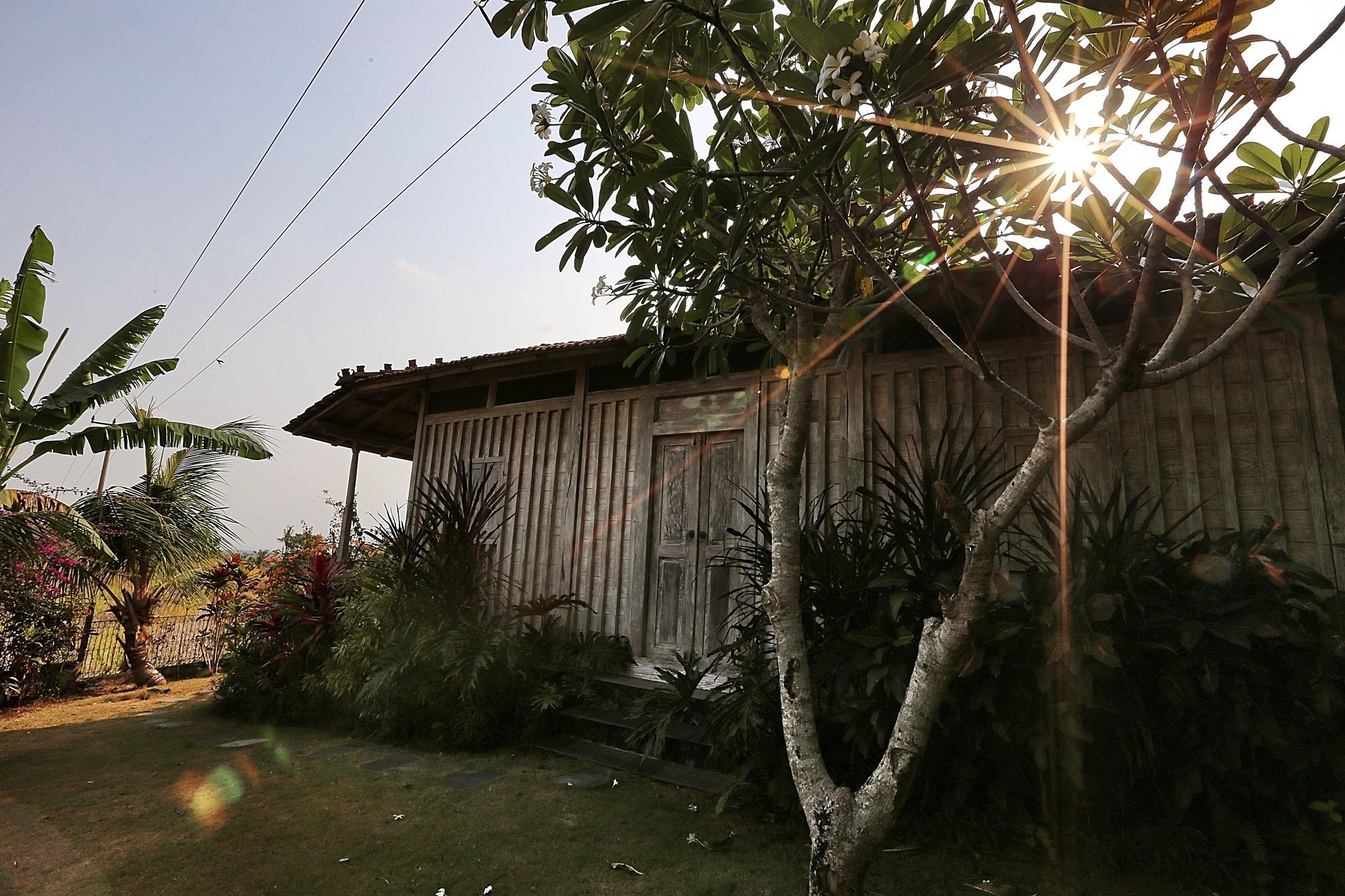 The Sanyas Retreat Hotel Selemadeg Buitenkant foto